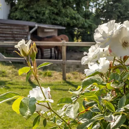Bed & Breakfast Marie